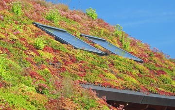 Thoresthorpe living roof systems